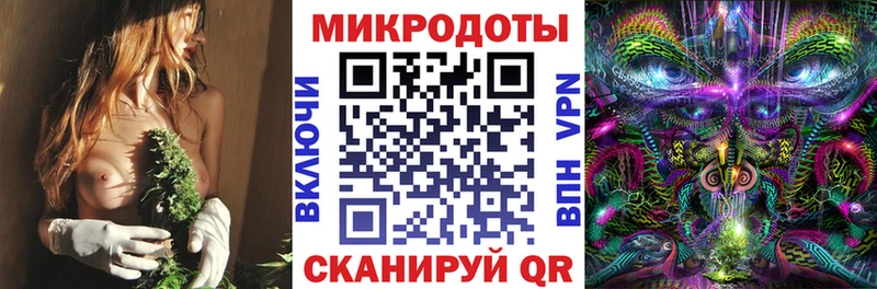 Галлюциногенные грибы Psilocybe Елизаветинская
