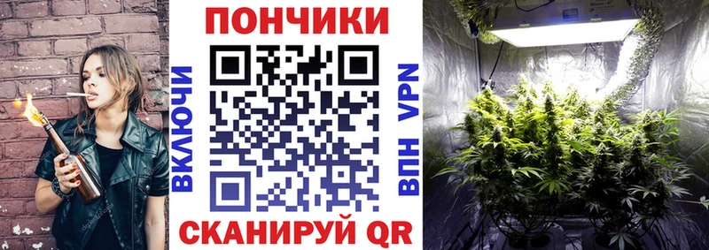 Шишки марихуана Ganja  Елизаветинская 